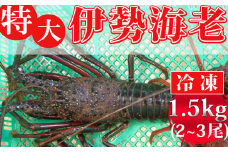 【冷凍】特大伊勢エビ1.5kg以上（2~3尾）[0050-0045]