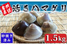【日時指定可能】いずみや鮮魚店の活きハマグリ 1.5kg  [0020-0074]