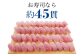 脂ののった中トロをお刺身や握り寿司でお楽しみください。