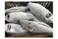 ヤマトサカナ株式会社ではマグロを丸ごと一本仕入れて解体作業を行っています。