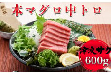 【プロが厳選】本マグロ 中トロ 600g(冷凍・サク)[0024-0006]