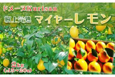 【数量限定】ドメーヌKurisanの『マイヤーレモン』２kg（約15～20個）　[0011-0031]