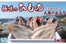 【極味のひもの】特選！人気ひもの詰合せ 大ぶり３種＋いか一夜干し２枚　[0012-0071]