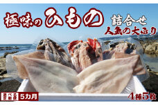 【極味の定期便】特選！人気ひもの詰合せ 大ぶり３種＋いか一夜干し２枚 × 選べる５カ月《毎月便》　[0058-0002]
