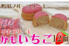 【鴨川フルーツケーキ】いちごケーキ「かもいちご」12個 [0010-0313]