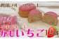 いちごケーキをいちごチョコレートでコーティングした鴨川発のいちごケーキ「かもいちご」