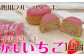 いちごケーキをいちごチョコレートでコーティングした鴨川発のいちごケーキ「かもいちご」