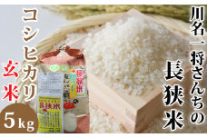 【令和6年産】川名一将さんちの長狭米　コシヒカリ5kg【玄米】[0014-0036]