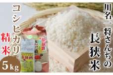 【令和6年産】川名一将さんちの長狭米　コシヒカリ5kg【精米】[0014-0036]