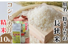 【令和6年産】川名一将さんちの長狭米 コシヒカリ10kg 【精米】[0028-0003]