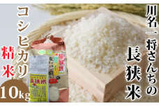 【令和6年産】川名一将さんちの長狭米 コシヒカリ10kg 【精米】[0030-0133]