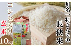 【令和6年産】川名一将さんちの長狭米 コシヒカリ10kg 【玄米】[0028-0003]