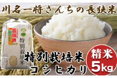 【千葉県知事賞受賞】川名一将さんちの長狭米 特別栽培米コシヒカリ5kg【精米】[0015-0059]