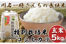 【千葉県知事賞受賞】川名一将さんちの長狭米 特別栽培米コシヒカリ5kg【玄米】[0015-0059]
