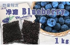 【数量・期間限定】農園直送！『冷凍ブルーベリー（ラビットアイ系）』 １kg　[0011-0080]