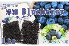 【数量・期間限定】農園直送！『冷凍ブルーベリー（高級品種ハイブッシュ系）』 １kg　[0013-0041]