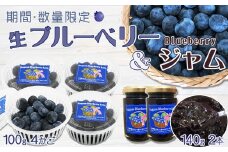 【数量・期間限定】摘みたて直送！生ブルーベリー 400g ＆ ジャム ２本　[0012-0081]