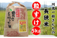 【令和6年産】川名一将さんちの長狭米　長狭米『粒すけ』 5kg [0012-0068]
