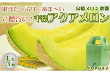 【ご贈答に！】高級マスクメロン『千葉アクアメロン』Ｌ玉以上 × ３個　[0033-0011]