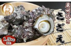 《配送受付 令和7年5月末日まで》【漁協直送！】《数量限定》天然 活き『房州サザエ』 1.5kg以上（８～12個）　[0015-0051]