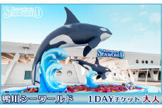 【鴨川シーワールド】１Dayチケット 大人（高校生以上）１枚　[0012-0060]