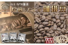 【カモガワ珈琲の定期便】焙煎したてのコーヒー豆 ３種（170g×３袋）３カ月《粉・隔月発送》　[0048-0002]