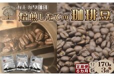 【カモガワ珈琲の定期便】焙煎したてのコーヒー豆 ３種（170g×３袋）６カ月《粉・隔月発送》　[0096-0001]
