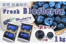 《数量限定》【訳あり】農園直送！小粒な『生ブルーベリー』 １kg　[0014-0037]