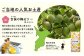 鴨川の南高梅で作った一口サイズのさっぱり梅ゼリーをお土産にお持ちかえりください。