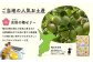 鴨川の南高梅で作った一口サイズのさっぱり梅ゼリーをお土産にお持ちかえりください。※お２人様１箱となります。