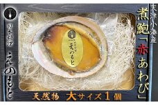 【日本料理えのもと】《最高級品》天津小湊産（鴨川市）「煮鮑（煮貝）」房州赤あわび 大サイズ１個 [0027-0004]