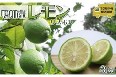【令和7年10月下旬発送／先行予約】刈込園芸 鴨川産レモン『リスボン』３kg　[0010-0277]