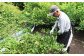鴨川市の柑橘農園「刈込園芸」が丹精込めて育てた、鴨川産レモン『リスボン』をご賞味ください。
