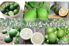 【令和7年9月下旬発送／先行予約】刈込園芸の香酸柑橘『かぼす・すだち・璃の香』計３kg　[0010-0276]