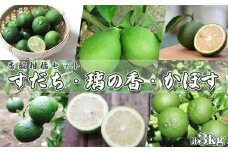 【令和7年9月下旬発送／先行予約】刈込園芸の香酸柑橘『かぼす・すだち・璃の香』計３kg　[0010-0276]