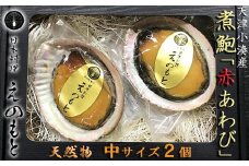 【日本料理えのもと】《最高級品》天津小湊産（鴨川市）「煮鮑（煮貝）」房州赤あわび 中サイズ２個 [0035-0004]