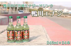 【鴨川のご当地ドリンク】鴨川エナジー 245ml × 24本 [0020-0081]