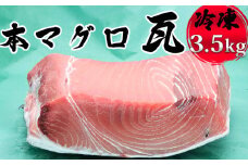 【プロが厳選】本マグロ瓦1枚（3.5kg以上）[0105-0001]
