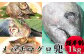 希少部位の塊！マグロの兜をお届けします。