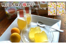 【鴨川 吉保梅の里の南高梅】吉保の梅ゼリー 12個入り×2箱　[0007-0040]