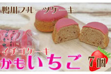 【鴨川フルーツケーキ】いちごケーキ「かもいちご」7個 [0007-0055]