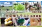 令和７年度　大山千枚田  大豆畑トラスト制度参加権利　先着10組限定