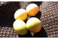 収穫した大豆は均等配分され、味噌や豆腐作り体験にもチャレンジできます！（体験費用は別途負担）