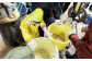 収穫した大豆は均等配分され、味噌や豆腐作り体験にもチャレンジできます！（体験費用は別途負担）