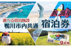 【千葉県鴨川市】市内宿泊施設『共通宿泊券』９千円相当　[0030-0126]
