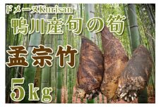 【ドメーヌKurisan】鴨川産 旬の筍「孟宗竹」5kg[0016-0020]