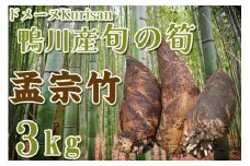 【ドメーヌKurisan】鴨川産 旬の筍「孟宗竹」3kg[0011-0067]