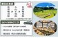 東京から一番近い棚田「大山千枚田」では、春は水田に映る空の青、夏は生命力に満ちた緑、秋は黄金色に揺れる稲穂の絶景。