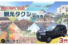 【千葉県鴨川市】観光タクシー貸切利用券 ３時間（定員４名／１台）　[0078-0002]