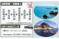 雄大な太平洋に青い空と白い砂浜が広がるビーチエリア。生い茂る木々の緑と青い海のコントラストが美しい名勝地を巡る旅。